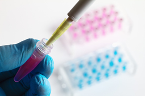 Genetic testing for celiac disease